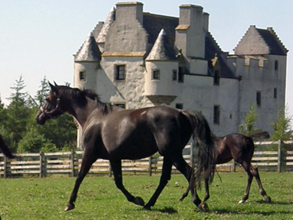 Faside Estate Bed and Breakfast Musselburgh Buitenkant foto